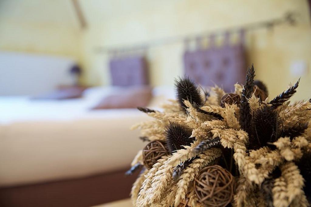 Bed and Breakfast La Grange De Boulaines Meru Номер фото
